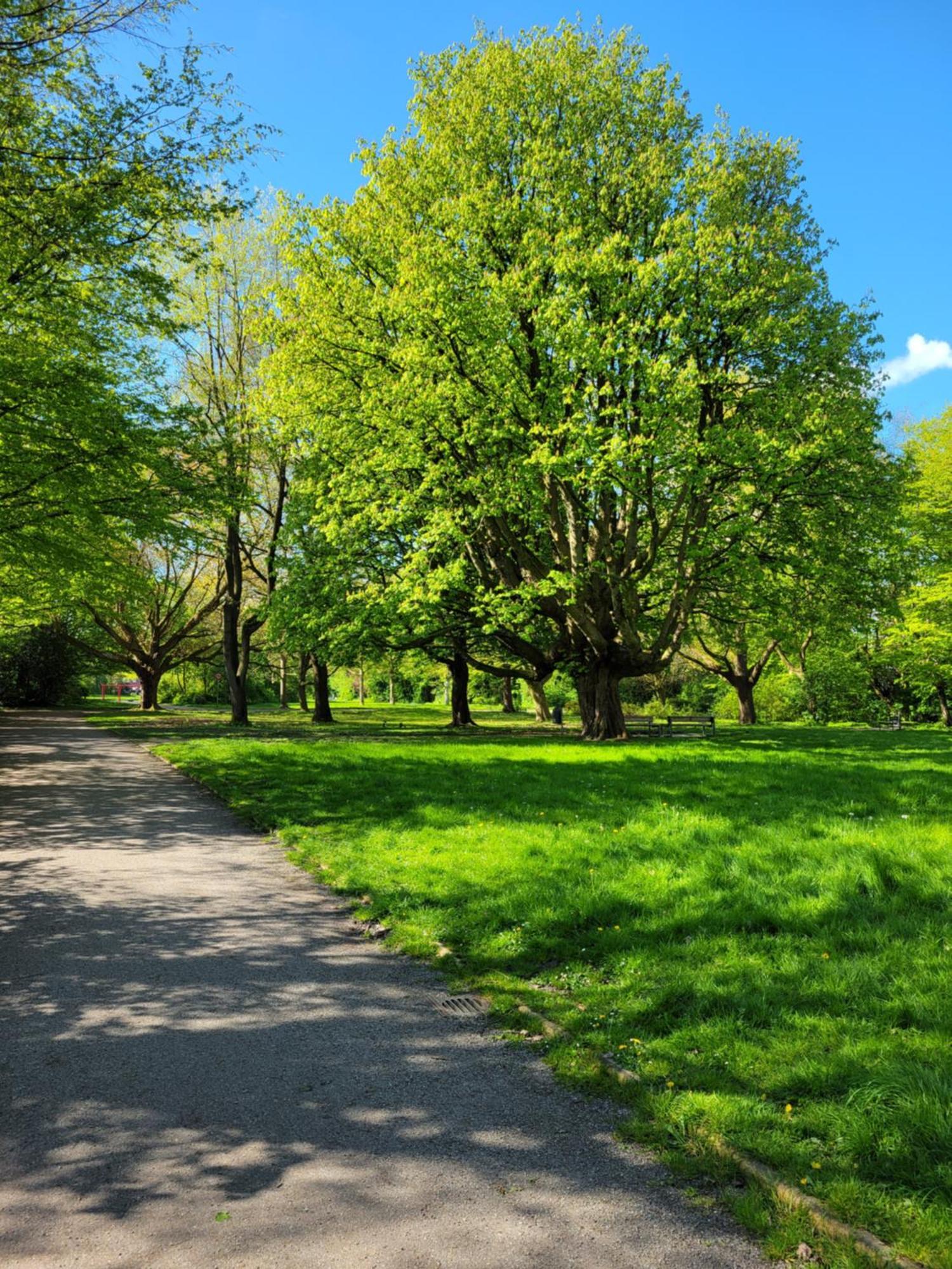 Ferienwohnungen Am Park Wilhelmshaven Exterior foto