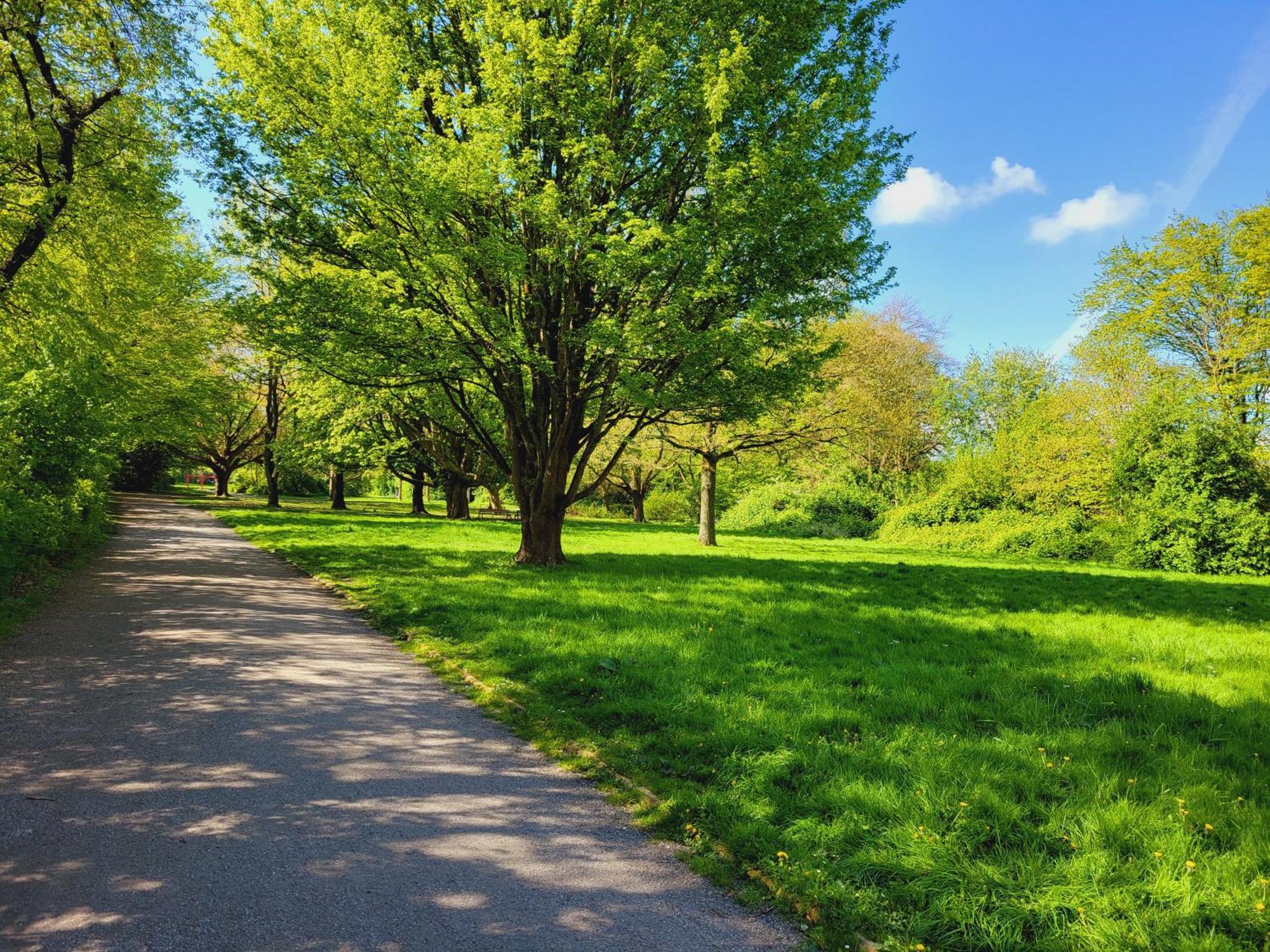 Ferienwohnungen Am Park Wilhelmshaven Exterior foto
