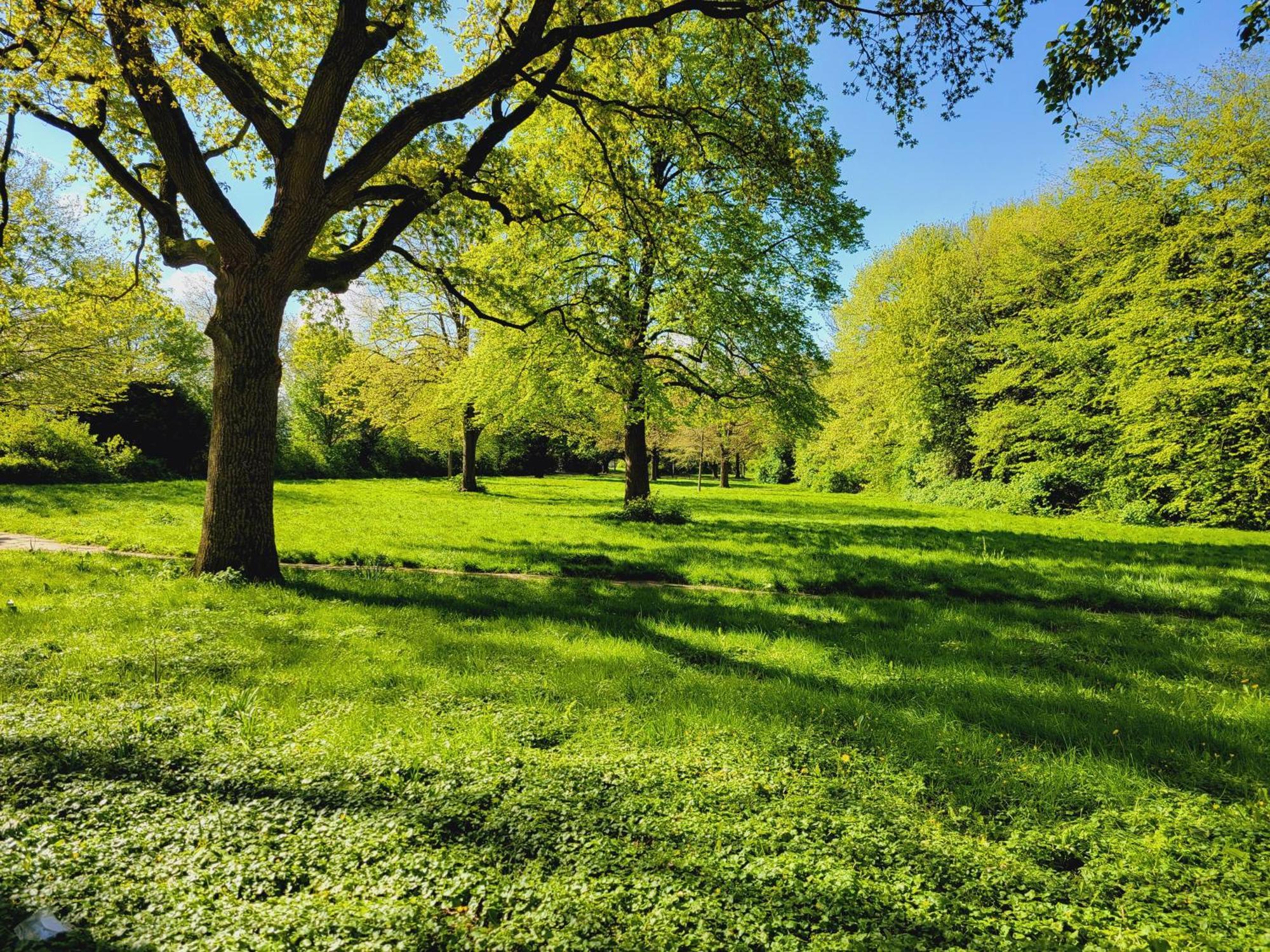 Ferienwohnungen Am Park Wilhelmshaven Exterior foto